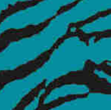 Load image into Gallery viewer, Bohning 4" HD Arrow Wraps,