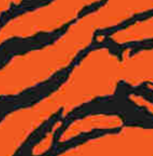 Load image into Gallery viewer, Bohning 4" HD Arrow Wraps,