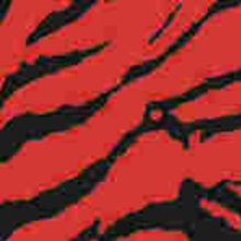 Load image into Gallery viewer, Bohning 4" HD Arrow Wraps,