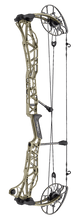 Load image into Gallery viewer, Mathews - LIFT 33"