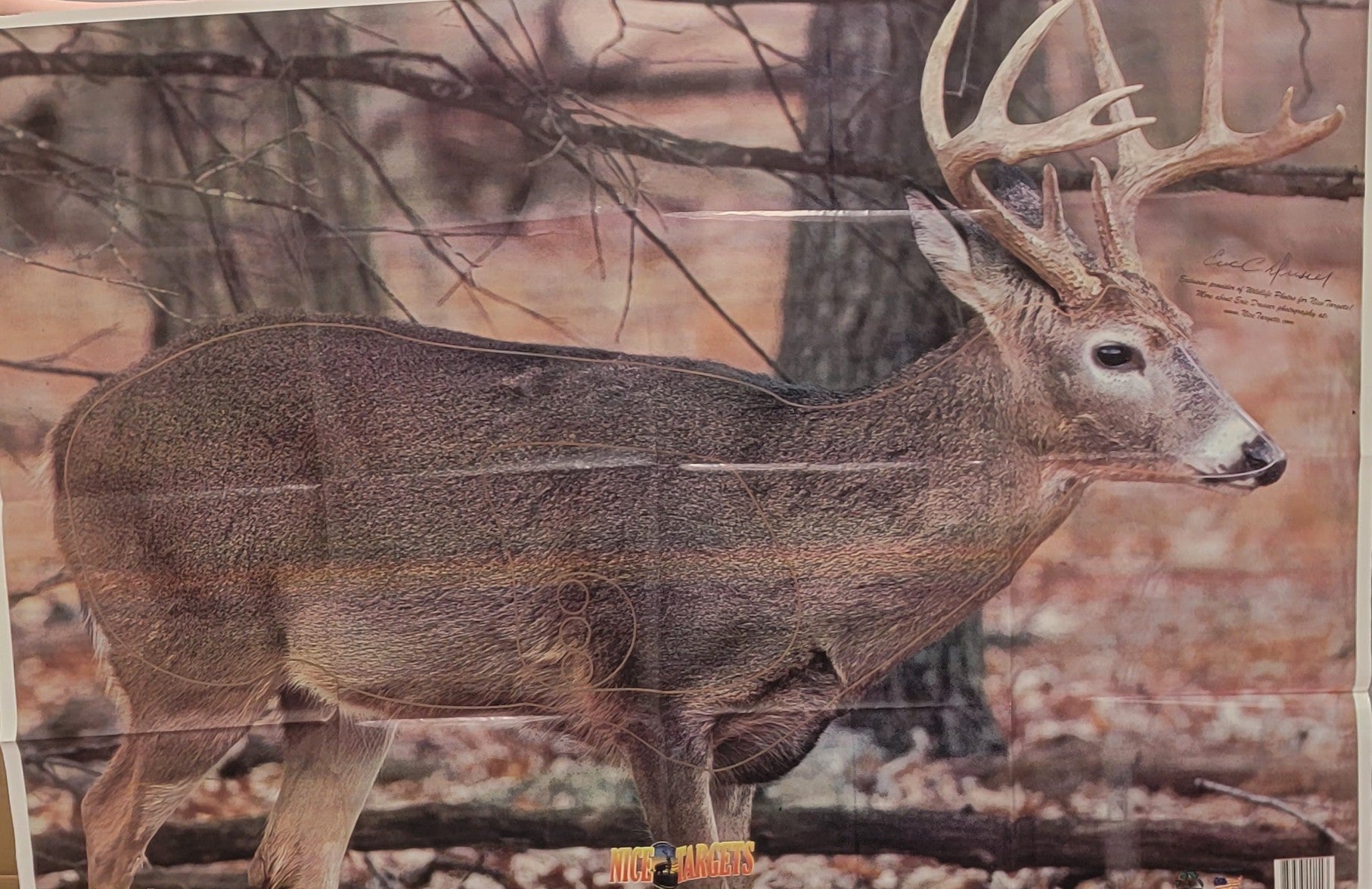 Deer Paper Target SOLD IN STORE ONLY Flyover Archery and Outdoors