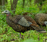 Load image into Gallery viewer, LCD Breeder Hen