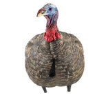 Load image into Gallery viewer, Avian X - LCD Quarter-Strut Jake Decoy Target