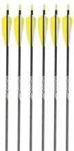 Load image into Gallery viewer, Gold Tip Warrior Arrows, 6-pack
