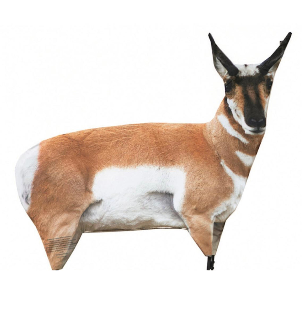Antelope Buck Montana Decoy