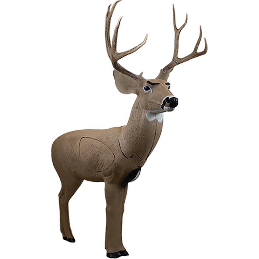 Woodland Mule Deer Target.    Sold in store only