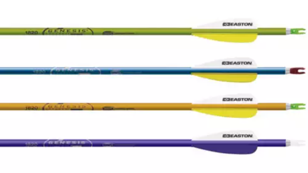 Arrows - Genesis V2 (sold individually) – Flyover Archery and Outdoors