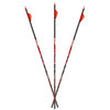D-STROYER MX Hunter Arrows 350 6pk